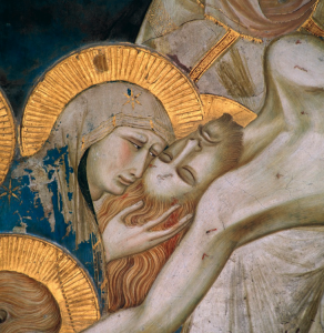 Image 15